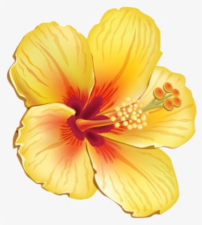 Free Moana Flower Clip Art With No Background Clipartkey