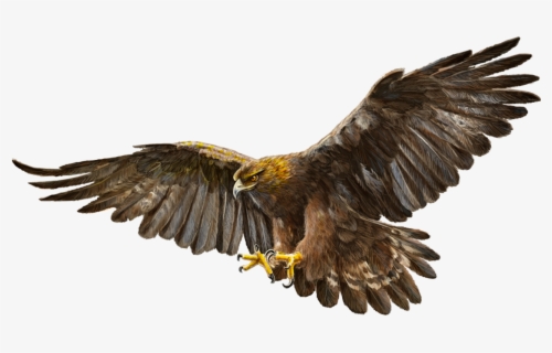 Golden Eagle Flying Png Free Transparent Clipart Clipartkey