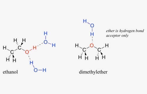 The Approximate Shape Of A Molecule Of Ethanol, Ch3ch2oh - Ethanol ...