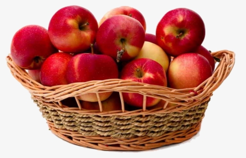 Free Apple Basket Clip Art with No Background - ClipartKey