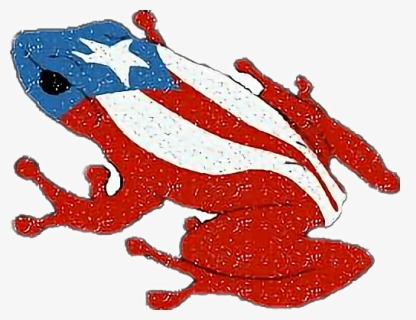 Coqui Taino Clipart , Png Download - Puerto Rico Coqui Symbol , Free ...