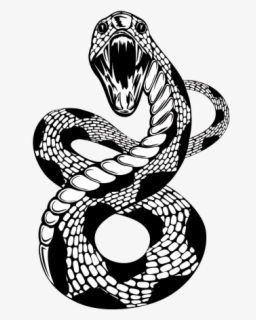 Transparent Snake Tongue Png - Snake Mouth Png , Free Transparent ...
