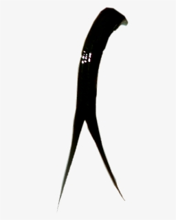 #snake #tongue #snaketongue - Real Snake Tongue Png , Free Transparent ...