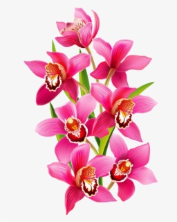 Sticker Orchids Freetoedit Scorchid Orchid - Orchid Flower Design ...