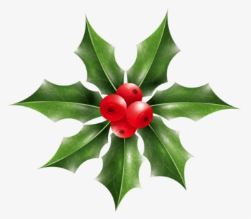 Christmas Holly Mistletoe Png - Transparent Background Holly Clipart ...