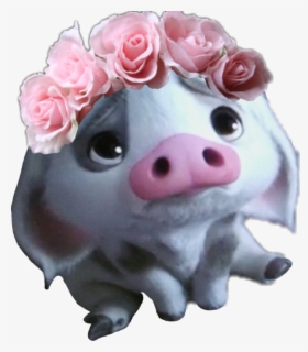 Moana Pig Free Transparent Clipart Clipartkey