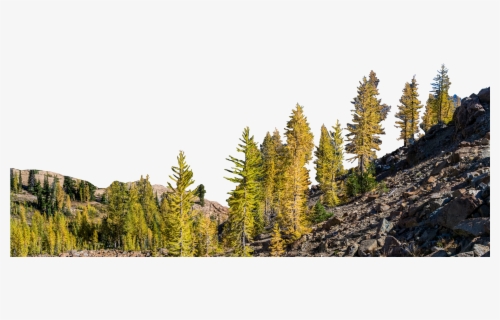 Mountain With Trees Png , Png Download - Mountains And Trees Png , Free ...