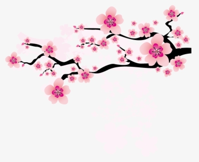 Cherry Blossom Clipart At Getdrawings - Plum Blossom Transparent ...