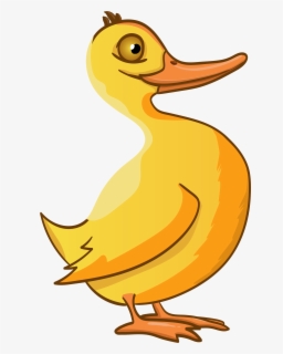 Duck, Animals, Animated, Funny, Birds - Duck , Free Transparent Clipart ...