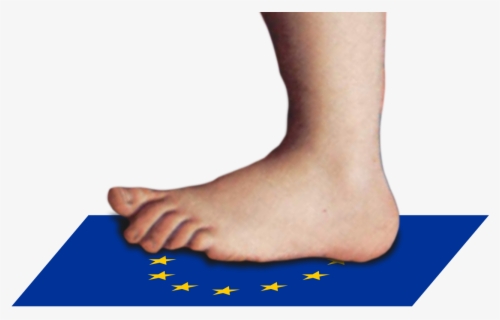 Monty Python Foot Png , Free Transparent Clipart - ClipartKey