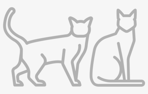 Cat Text Box Red Fox Animal Clip Art - Cute Text Box Png , Free ...