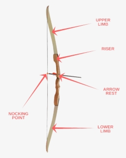 Clip Art Recurve Bow Everything You - Structure Of A Bow , Free ...