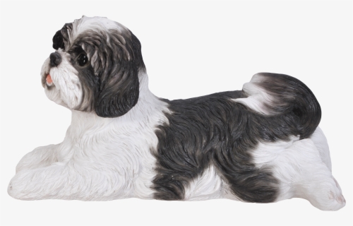 Tibetan Terrier , Free Transparent Clipart - ClipartKey