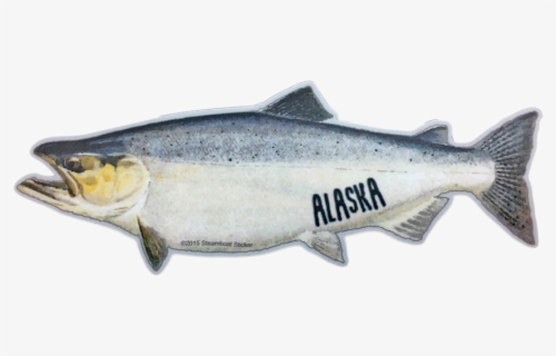 Chinook Salmon , Free Transparent Clipart - ClipartKey