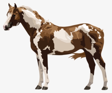 Printable Horse Silhouette - Free Appaloosa Clip Art , Free Transparent