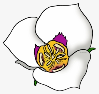 Alluring Georgia State Flower United States Clip Art , Free Transparent ...