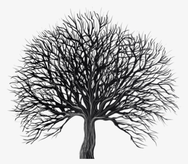 Free Tree Black And White Clip Art with No Background - ClipartKey