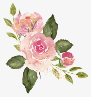 Download Watercolor Roses Flowers Floral Bouquet Pink Watercolor Pink Rose Png Free Transparent Clipart Clipartkey