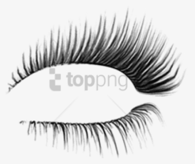 Download Transparent Eyelashes Clipart - Transparent Background ...
