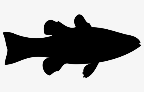 Download Free Fish Silhouette Clip Art With No Background Clipartkey