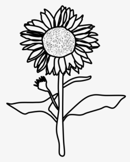 Featured image of post Sunflower Clipart Black And White Free