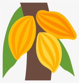 Cacao Clipart Cocoa Plant - Cocoa Tree Icon Png , Free Transparent ...