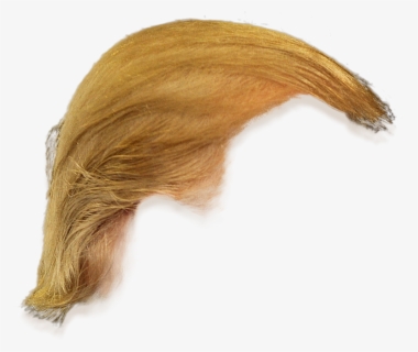 Donald Trump Hair Side View Png Transparent Clipart - Donald Trump Hair ...