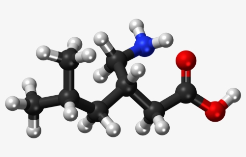 Transparent Background Animal Rights Sign Free Pregabalin Clip Art with No Background - ClipartKey