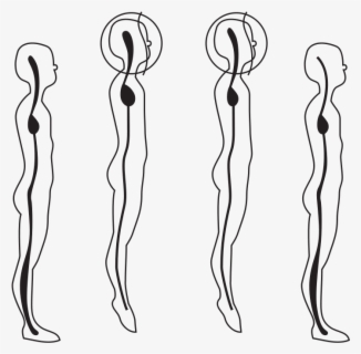 58294main The - Alexander Technique Posture , Free Transparent Clipart ...