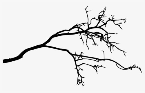 Free Tree Branch Silhouette Clip Art with No Background - ClipartKey