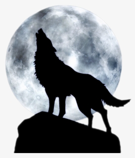 Wolf Howling At The Moon Cartoon , Free Transparent Clipart - ClipartKey