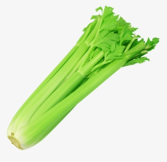 Celery Clipart Transparent Celery Meaning In Hindi Free Transparent Clipart Clipartkey