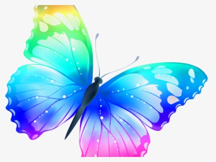rainbow butterfly clipart cute  easy colorful butterfly