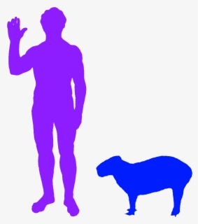 Biggest Owl Compared To Human , Free Transparent Clipart - ClipartKey