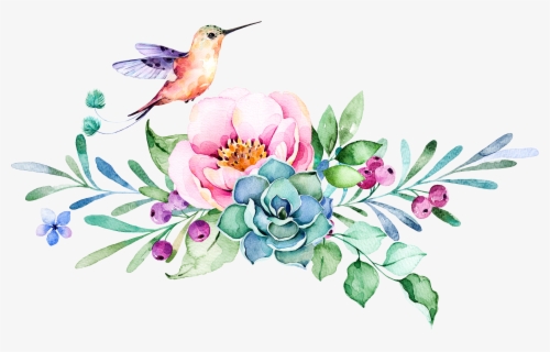 Flowers Bird Freetoedit Flowers And Hummingbirds Clipart Free Transparent Clipart Clipartkey