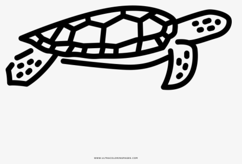 Transparent Baby Shower Turtle Clipart - Cute Sea Turtle Clipart , Free ...