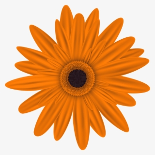 Flowers Png - Flower Png , Free Transparent Clipart - ClipartKey