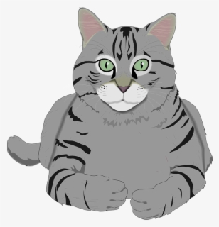 Grey Cat Transparent Background , Free Transparent Clipart - ClipartKey