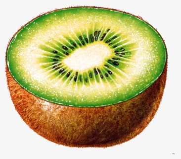 Cutting Fruit Free Transparent Clipart Clipartkey Cutting Fruit Free Transparent Clipart Clipartkey