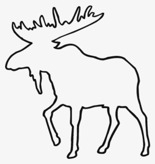 Featured image of post Moose Head Line Drawing