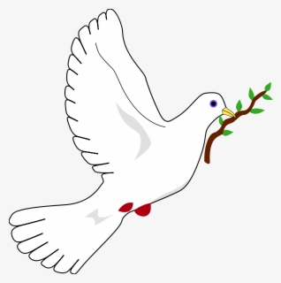 Transparent Dove With Olive Branch Png - Leaves Clipart , Free ...