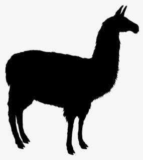 Clip Art Free Svg Transparent Llama Free Transparent Clipart Clipartkey