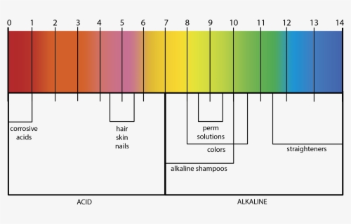 Clip Art Ph Scale Coloring - Ph Scale Hair Color , Free Transparent ...