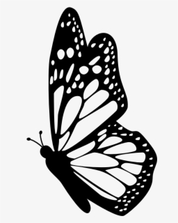 Interesting Facts About Butterflies - Butterfly Outline Side View ...