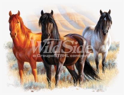 Horse Clipart Images - Horse Running Away Drawing , Free Transparent ...