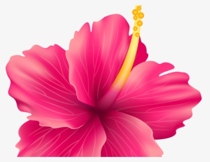 Exotic Clipart Moana - Tropical Flower Vector Png , Free Transparent ...