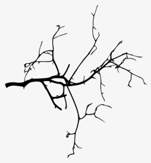 Tree Stick Clipart - Black And White Tree Branch Clip Art , Free ...