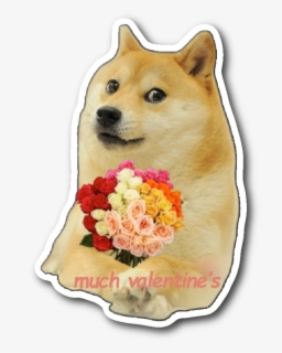 Doge With Gun Png