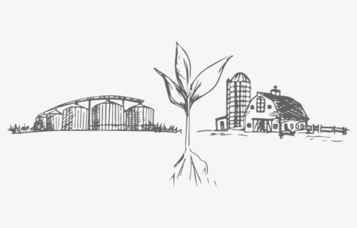 Download Transparent Cash Crop Clipart - Cash Crop Farming Drawing ...