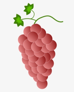 Download Grapes Coloring Page - Grapes Clipart For Coloring , Free ...